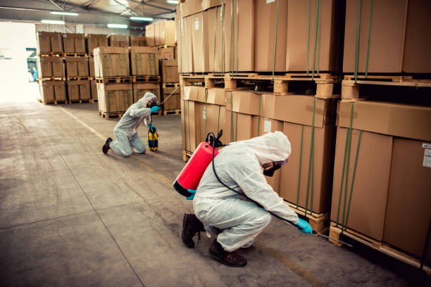 Best Pest Removal Services  in Crooked Lake Park, FL