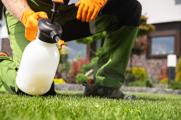 Best Wasp Removal Services  in Crooked Lake Park, FL