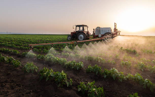 Best Commercial Pest Control Services  in Crooked Lake Park, FL